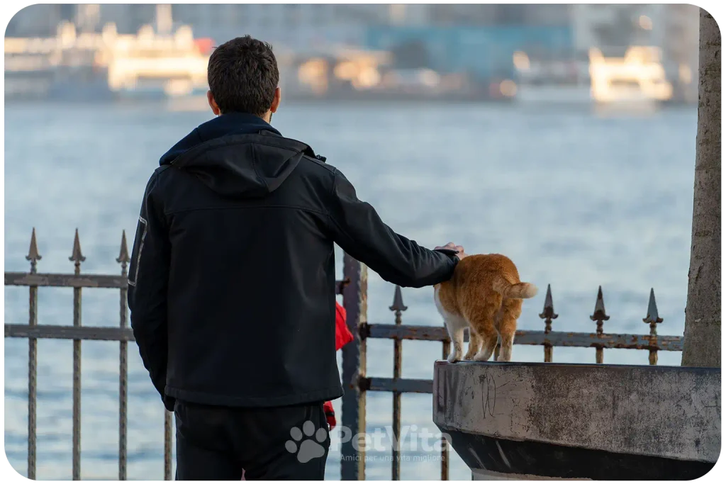12. Il gatto può diventare una fonte di supporto emotivo
