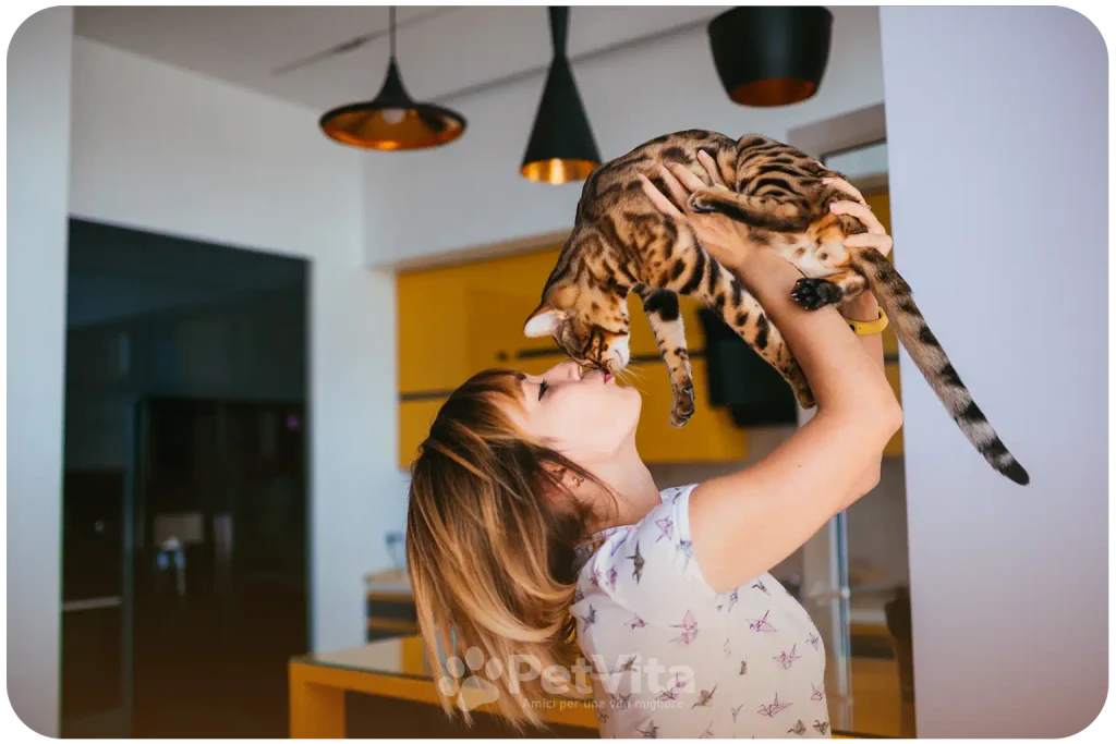 Un gatto può davvero migliorare l'atmosfera di una casa?