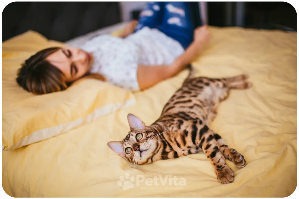 1. Un gatto può aiutare a sentirsi meno soli