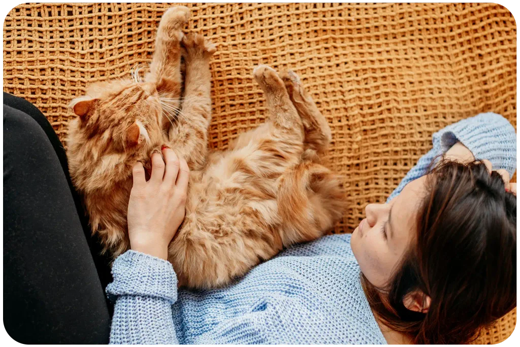 5. Perché accarezzare un gatto può essere così rilassante?
