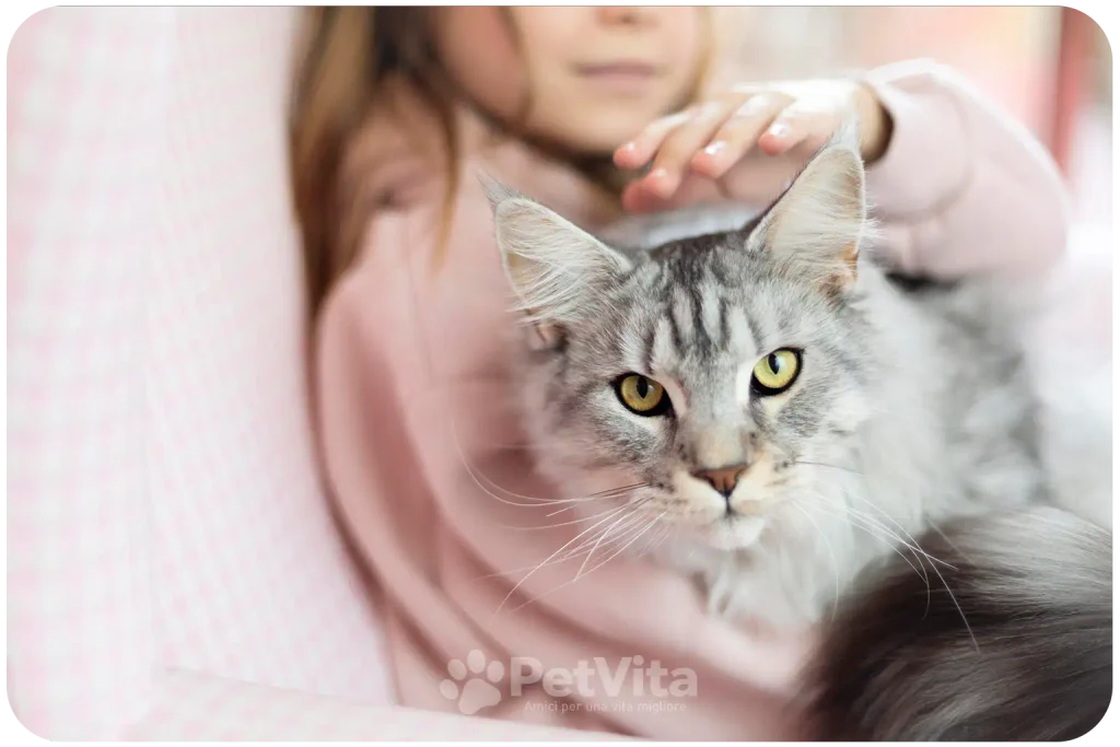 6. E poi ci sono le fusa: perché il suono di un gatto è così particolare?